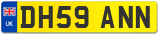 DH59 ANN