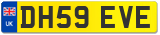 DH59 EVE