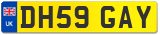 DH59 GAY