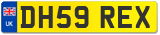 DH59 REX