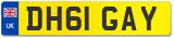 DH61 GAY