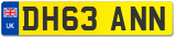 DH63 ANN