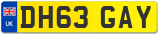 DH63 GAY