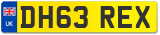 DH63 REX
