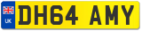 DH64 AMY