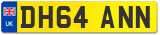 DH64 ANN