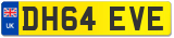 DH64 EVE
