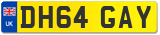 DH64 GAY