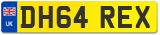 DH64 REX