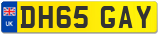 DH65 GAY