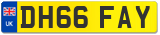 DH66 FAY