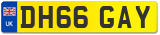 DH66 GAY