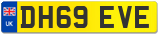 DH69 EVE