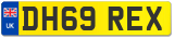DH69 REX