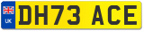 DH73 ACE