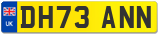 DH73 ANN