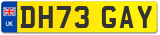 DH73 GAY