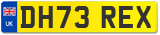 DH73 REX