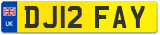 DJ12 FAY