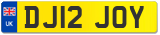 DJ12 JOY