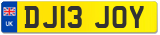 DJ13 JOY