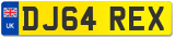 DJ64 REX