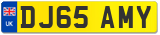 DJ65 AMY