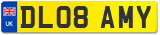 DL08 AMY