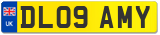 DL09 AMY