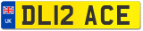 DL12 ACE