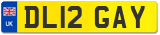 DL12 GAY