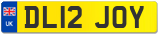 DL12 JOY