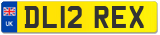 DL12 REX