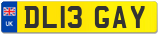 DL13 GAY