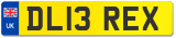 DL13 REX