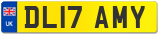 DL17 AMY