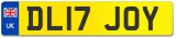 DL17 JOY