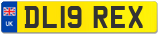 DL19 REX