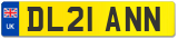 DL21 ANN