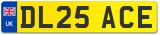 DL25 ACE