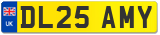 DL25 AMY