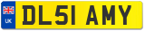 DL51 AMY