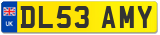 DL53 AMY