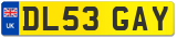 DL53 GAY