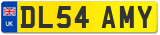 DL54 AMY