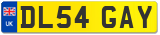 DL54 GAY