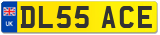 DL55 ACE