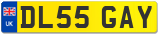 DL55 GAY