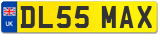 DL55 MAX