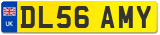 DL56 AMY